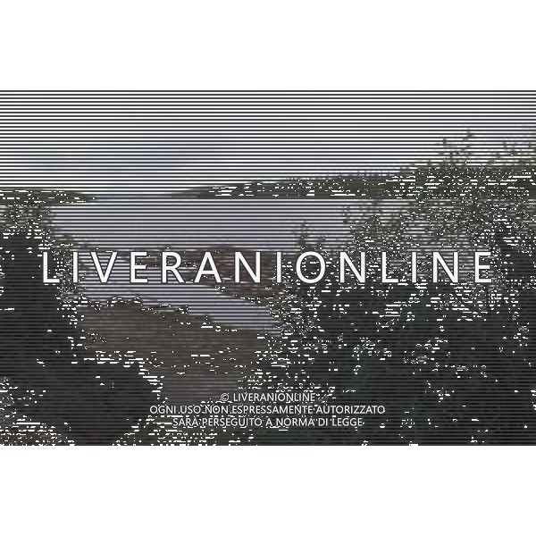 DIAP-NORVEGIA ANNI 70 NELLA FOTO LEGNAME SUL FIUME FOTO CARLO LORENZINI-AG ALDO LIVERANI SAS