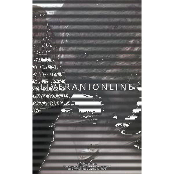 DIAP-NORVEGIA ANNI 70 NELLA FOTO VEDUTE DELLE NORVEGIA FOTO CARLO LORENZINI-AG ALDO LIVERANI SAS