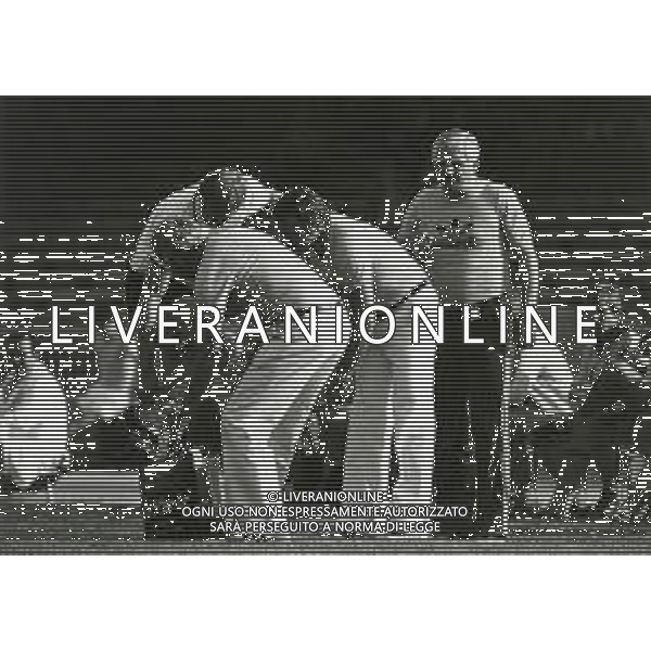 ST-RETROSPETTIVA JUPP DERWALL ALLENATORE NAZIONALE GERMANIA OVEST CALCIO NELLA FOTO JUPP DERWALL EURO 1980 A NAPOLI AG GIOVANNI LIVERANI-AG ALDO LIVERANI SAS 