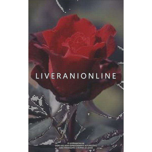 DIAP-FIORI ROSE AG ALDO LIVERANI SAS
