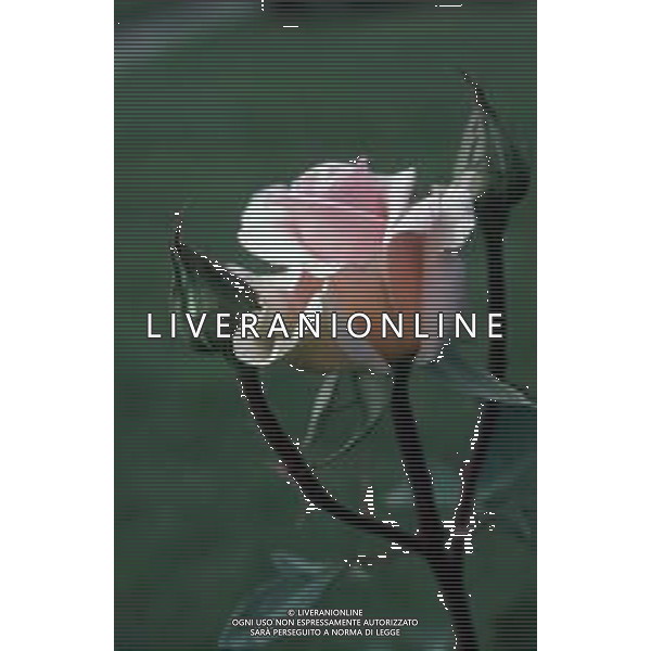 DIAP-FIORI ROSE AG ALDO LIVERANI SAS