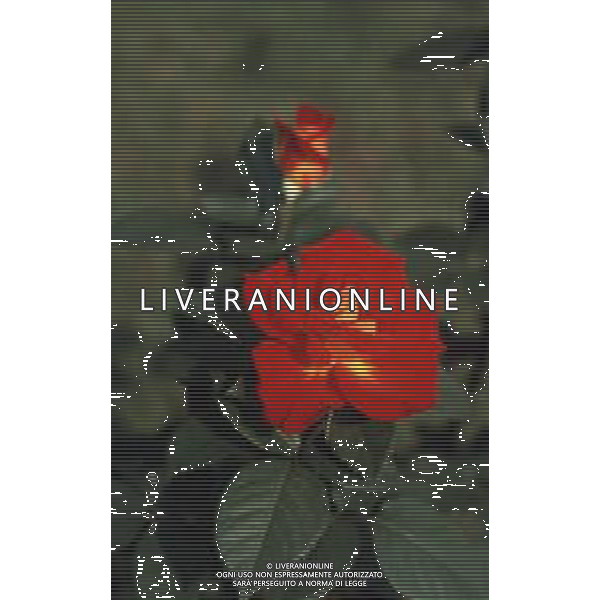 DIAP-FIORI ROSE AG ALDO LIVERANI SAS