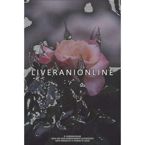 DIAP-FIORI ROSE AG ALDO LIVERANI SAS