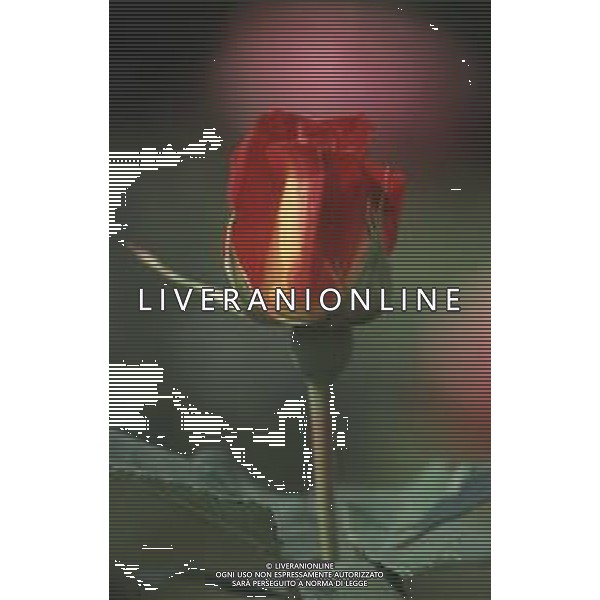DIAP-FIORI ROSE AG ALDO LIVERANI SAS