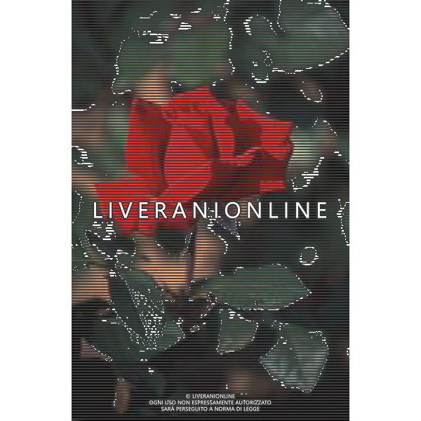 DIAP-FIORI ROSE AG ALDO LIVERANI SAS