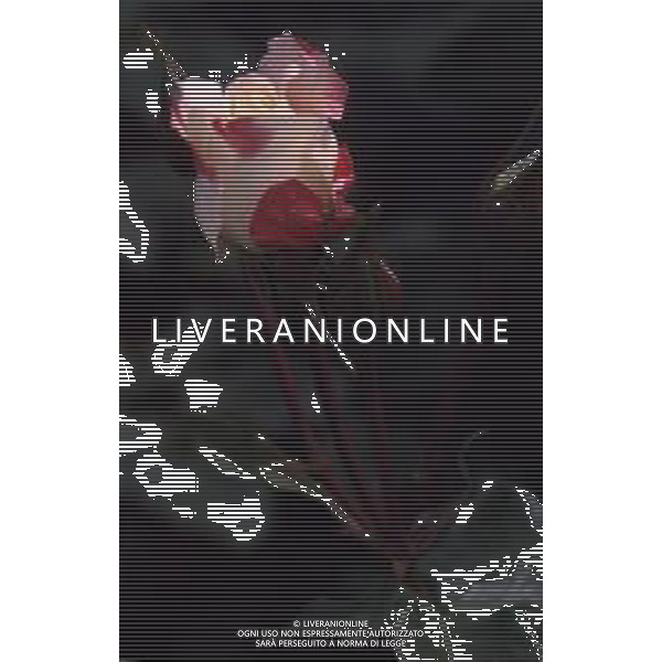 DIAP-FIORI ROSE AG ALDO LIVERANI SAS