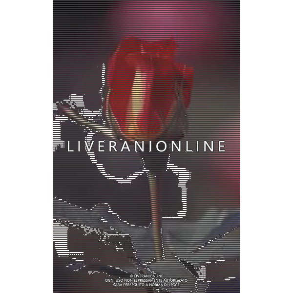 DIAP-FIORI ROSE AG ALDO LIVERANI SAS