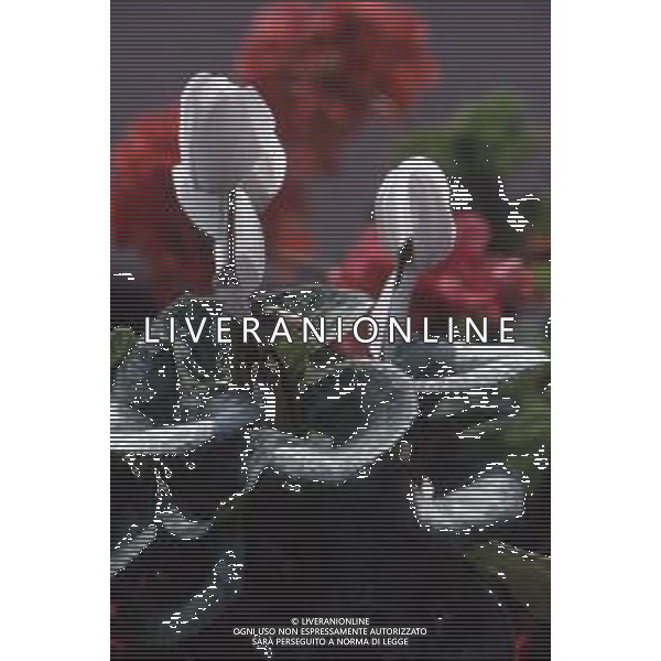 DIAP-FIORI-CICLAMINI AG ALDO LIVERANI SAS