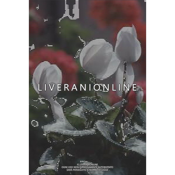 DIAP-FIORI-CICLAMINI AG ALDO LIVERANI SAS