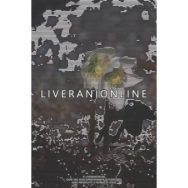 DIAP-FIORE ELLEBORO AG ALDO LIVERANI SAS