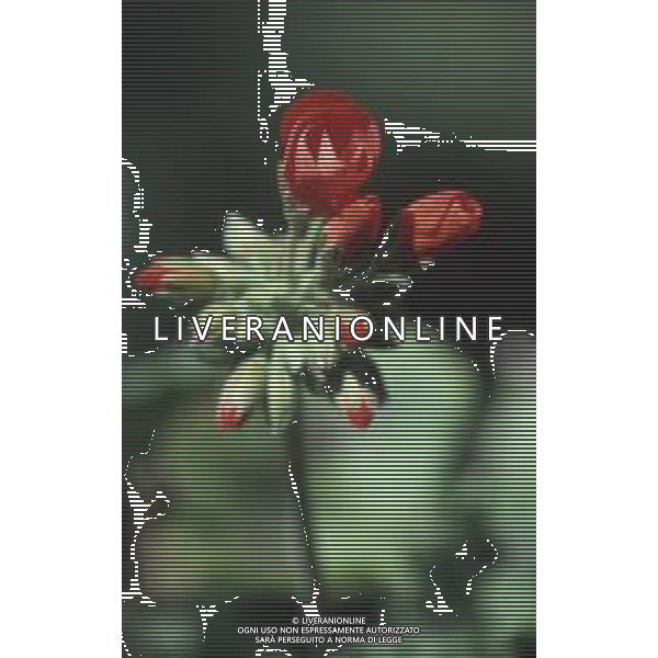 DIAP-FIORI GERANI AG ALDO LIVERANI SAS