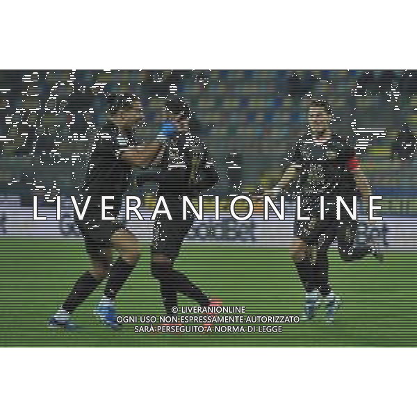 Frosinone vs Palermo Campionato Serie BKT - 13 giornata Stadio B.Stirpe - Frosinone 08-11-2024 nella foto Esultanza Palermo ©Federico Gaetano - AGENZIA ALDO LIVERANI SAS
