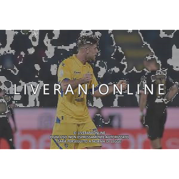 Frosinone vs Palermo Campionato Serie BKT - 13 giornata Stadio B.Stirpe - Frosinone 08-11-2024 nella foto Esultanza Bracaglia ©Federico Gaetano - AGENZIA ALDO LIVERANI SAS