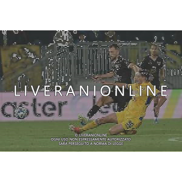 Frosinone vs Palermo Campionato Serie BKT - 13 giornata Stadio B.Stirpe - Frosinone 08-11-2024 nella foto Le Douaron e Monterisi ©Federico Gaetano - AGENZIA ALDO LIVERANI SAS