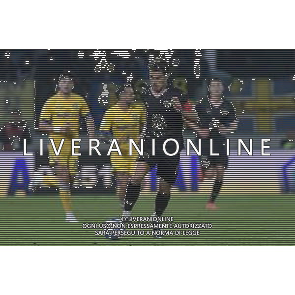 Frosinone vs Palermo Campionato Serie BKT - 13 giornata Stadio B.Stirpe - Frosinone 08-11-2024 nella foto Jacopo Segre foto federico gaetano-ag aldo liverani sas