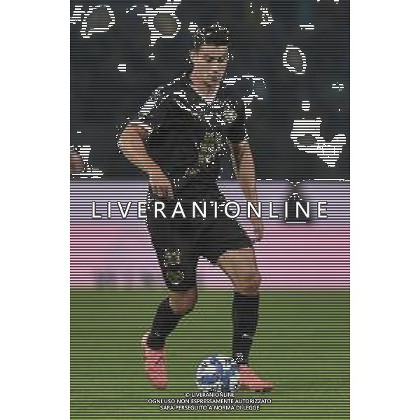 Frosinone vs Palermo Campionato Serie BKT - 13 giornata Stadio B.Stirpe - Frosinone 08-11-2024 nella foto Ionut Nedelcearu foto federico gaetano-ag aldo liverani sas