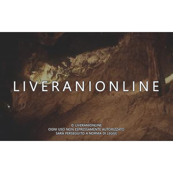 DIAP- PUGLIA- LECCE NELLA FOTO La Zinzulusa è una grotta naturale costiera che si trova lungo il litorale salentino tra Castro e Santa Cesarea Terme, una delle più note grotte anchialine dell\'Italia meridionale. FOTO CARLO LORENZINI-AG ALDO LIVERANI SAS