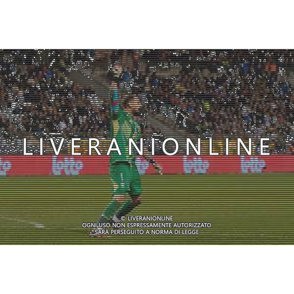 TVEM November 14, 2024 Brussels, Belgium - Belgium vs Italy - UEFA Nations League 2024/25, League A Group A2 match - King Baudouin Stadium. In the pic: Gianluigi Donnarumma of Italy celebrates the victory foto emmanuele mastrodonato-ag aldo liverani sas