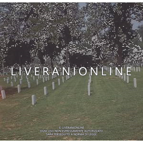 DIAP-USA-VIRGINIA NELLA FOTO IL CIMITERO NAZIONALE DI ARLINGTON FOTO CARLO LORENZINI-AG ALDO LIVERANI SAS  