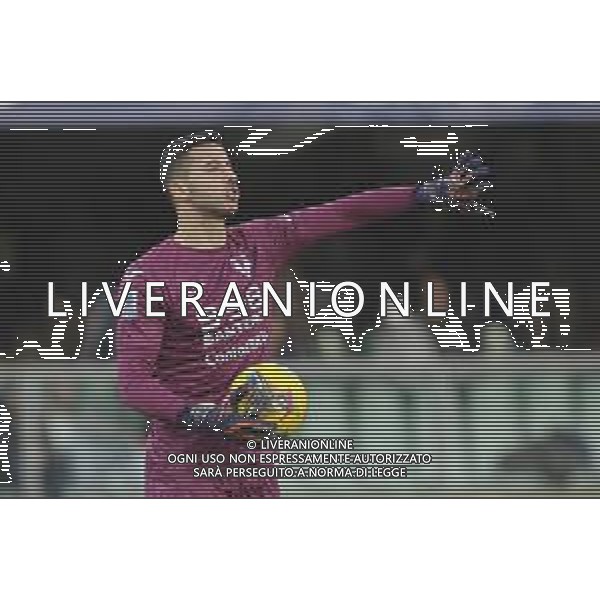 Lorenzo Montipo’ of Hellas Verona FC gestures during Hellas Verona FC vs Inter FC, 13° Serie A Enilive 2024-25 game at Marcantonio Bentegodi stadium in Verona (VR), Italy, on November 23, 2024. (Photo by Davide Casentini)- AGENZIA ALDO LIVERANI SAS