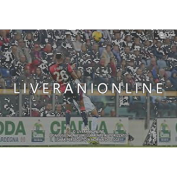 29-11-2024. Cagliari calcio-Hellas Verona, 14° giornata Serie A calcio Italia 2024/2025, stadio Unipol Domus Cagliari. Foto Salvatore Moi/Agenzia Aldo Liverani s.as. Nella foto: Yerry Mina Cagliari ©MOI SALVATORE - AGENZIA ALDO LIVERANI SAS