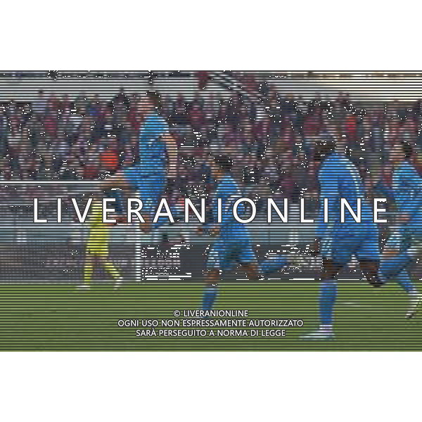 Torino 01.12.24 Stadio Grande Torino @Manuela Viganti/Ag. Aldo Liverani sas Torino vs Napoli Campionato Calcio Serie A Enilive 2024/2025 14a giornata Nella foto: esultanza napoli di dopo il gol di scott mctominay ©Viganti -AGENZIA ALDO LIVERANI SAS