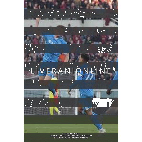 Torino 01.12.24 Stadio Grande Torino @Manuela Viganti/Ag. Aldo Liverani sas Torino vs Napoli Campionato Calcio Serie A Enilive 2024/2025 14a giornata Nella foto: esultanza napoli di dopo il gol di scott mctominay ©Viganti -AGENZIA ALDO LIVERANI SAS