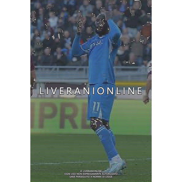 Torino 01.12.24 Stadio Grande Torino @Manuela Viganti/Ag. Aldo Liverani sas Torino vs Napoli Campionato Calcio Serie A Enilive 2024/2025 14a giornata Nella foto: Romelu Lukaku 