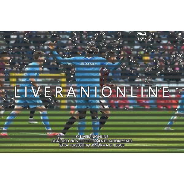 Torino 01.12.24 Stadio Grande Torino @Manuela Viganti/Ag. Aldo Liverani sas Torino vs Napoli Campionato Calcio Serie A Enilive 2024/2025 14a giornata Nella foto: romelu lukaku