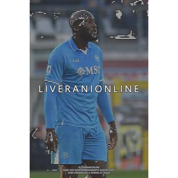 Torino 01.12.24 Stadio Grande Torino @Manuela Viganti/Ag. Aldo Liverani sas Torino vs Napoli Campionato Calcio Serie A Enilive 2024/2025 14a giornata Nella foto: romelu lukaku