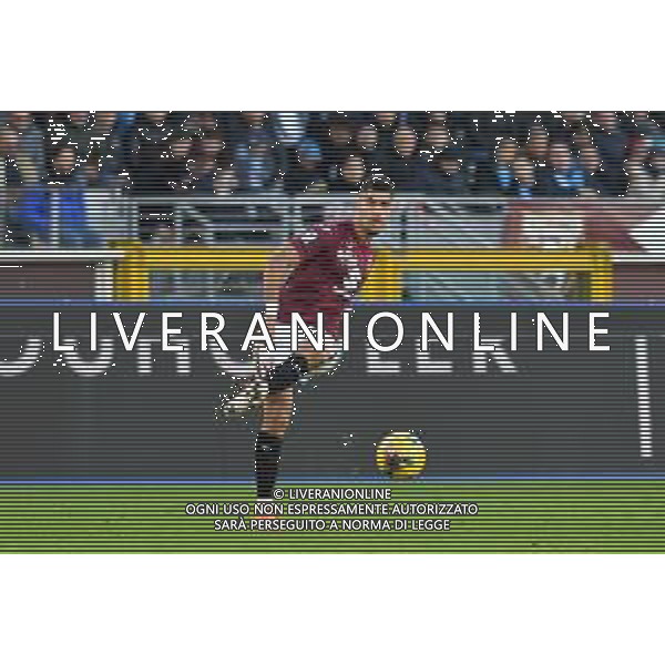 Torino 01.12.24 Stadio Grande Torino @Manuela Viganti/Ag. Aldo Liverani sas Torino vs Napoli Campionato Calcio Serie A Enilive 2024/2025 14a giornata Nella foto: adam masina