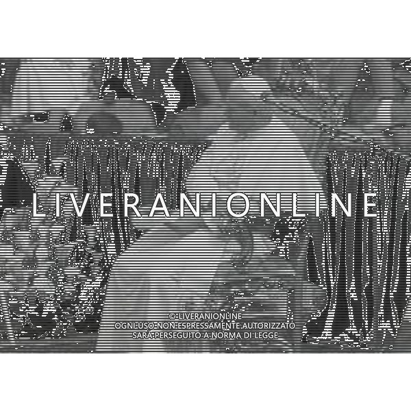 NEG-RETROSPETTIVA PAPA GIOVANNI II -KAROL JOZEF WOJTYLA  NELLA FOTO PAPA GIOVANNI II -KAROL JOZEF WOJTYLA NELL\'ANNO 1988 A VERONA AG ALDO LIVERANI SAS  
