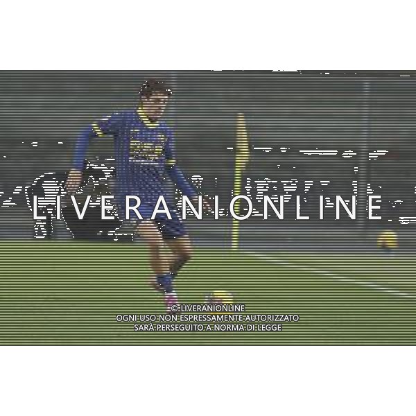 Domagoj Bradaric of Hellas Verona FC play the ball during Hellas Verona FC vs Empoli FC, 15° Serie A Enilive 2024-25 game at Marcantonio Bentegodi stadium in Verona (VR), Italy, on Dicember 08, 2024. (Photo by Davide Casentini) - AGENZIA ALDO LIVERANI SAS