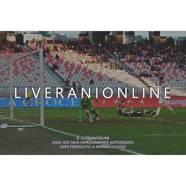 EMTV-December 07, 2024 Bari, Italy - SSC Bari vs Cesena FC - Italian soccer serie B 2024/25 - San Nicola Stadium. In the pic: Cristian Shpendi of Cesena FC scores a goal of 1-1 that was after disallowed FOTO EMMANUELE MASTRODONATO-AG ALDO LIVERANI SAS