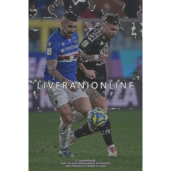 TVRG Sampdoria vs Spezia nella foto Gennaro Tutino (Sampdoria) e Przemyslaw Wisniewski (Spezia) Genova 14-12-2024 Stadio Luigi Ferraris - Marassi Campionato Serie BKT - 17a giornata foto Roberto Garavaglia/Agenzia Aldo Liverani sas