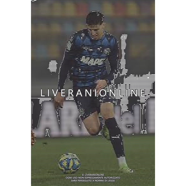 Frosinone vs Sassuolo Campionato Serie BKT - 17 Giornata Stadio B.Stirpe - Frosinone 14-12-2024 nella foto Tarik Muharemovic foto federico gaetamo-ag aldo liverani sas