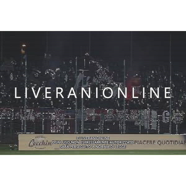 CITTADELLA - REGGIANA CAMPIONATO CALCIO SERIE BKT 21.12.2024 NELLA FOTO TIFOSI REGGIANA ©P.G. -AGENZIA ALDO LIVERANI SAS