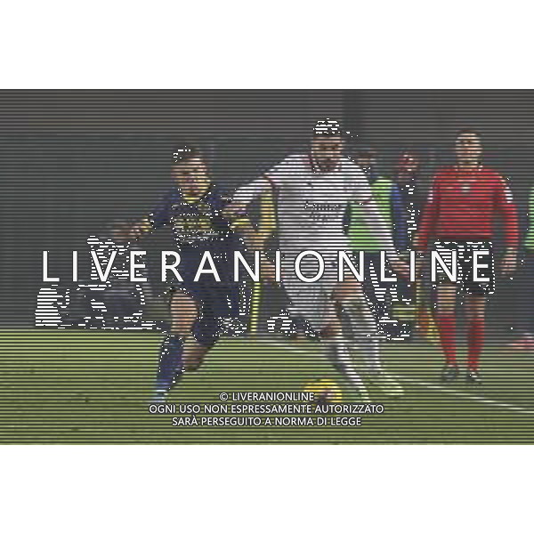 Tomas Suslov of Hellas Verona FC battle for the ball with Theo Hernandez of AC Milan during Hellas Verona FC vs AC Milan, 17° Serie A Enilive 2024-25 game at Marcantonio Bentegodi stadium in Verona (VR), Italy, on Dicember 20, 2024. (Photo by Davide Casentini)-AGENZIA ALDO LIVERANI SAS