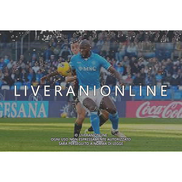 29-12-2024 NAPOLI-CAMPIONATO DI CALCIO SERIE A NAPOLI-VENEZIA nella foto: Romelu Lukaku Foto Mosca, Ag.Liverani