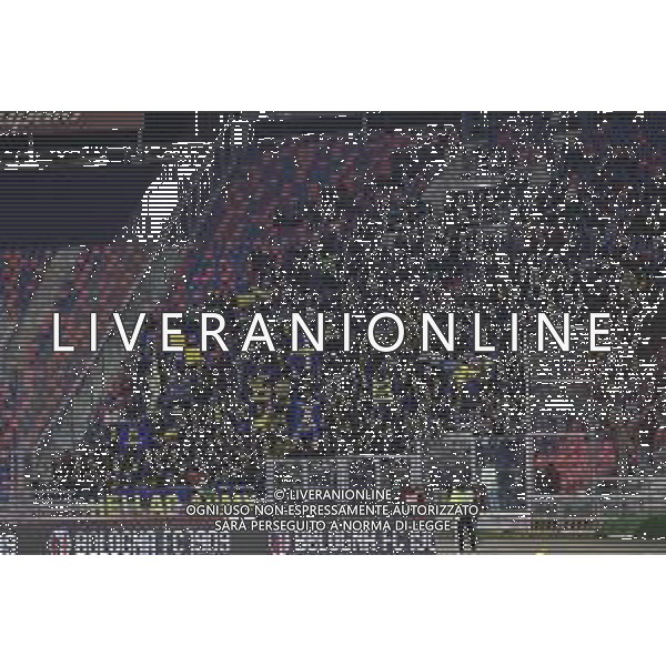 Hellas Verona fans fans show their support during Bologna BFC vs Hellas Verona FC, 18° Serie A Enilive 2024-25 game at Renato Dall\'Ara stadium in Bologna (BO), Italy, on Dicember 30, 2024. (Photo by Davide Casentini) -AGENZIA ALDO LIVERANI SAS