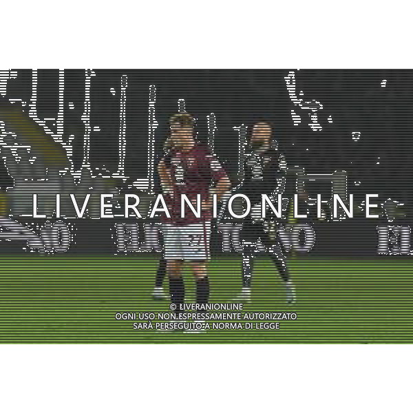 TVMV-Torino 05.01.2025 Stadio Grande Torino @Manuela Viganti/Ag. Aldo Liverani sas Torino vs Parma Campionato Calcio Serie A Enilive 2024/2025 19a giornata Nella foto: delusione torino a fine gara ©Viganti-AGENZIA ALDO LIVERANI SAS