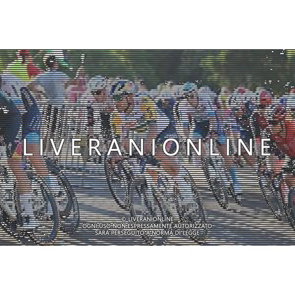 18-01-2025 Down Under Classic; 2025, Red Bull - Bora Hansgrohe; Welsford, Sam; Adelaide; ©SIROTTI-AGENZIA ALDO LIVERANI SAS