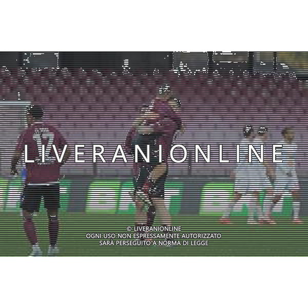 18 01 2025 - Salerno. Stadio Arechi. Campionato Serie B. Salernitana-Reggiana Nella foto esultanza dopo gol 1-1 di alberto cerri Foto Giuseppe Cuozzo/Agenzia Liverani-AGENZIA ALDO LIVERANI SAS
