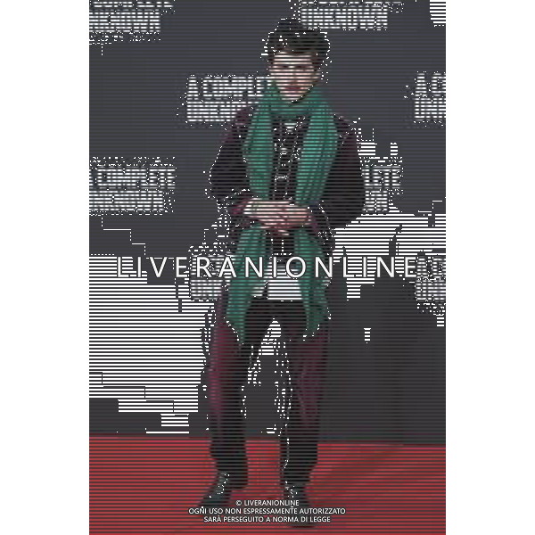 Roma - 17 Gennaio 2025 Red Carpet della premiere Italiana di “A” Complete Unknown” all’Auditorium Parco della Musica - Ennio Morricone TIMOTHÉE CHALAMET Andrea Bracaglia-AGENZIA ALDO LIVERANI SAS