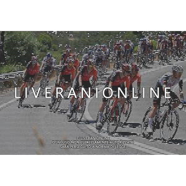 21-01-2025 Tour Down Under; Tappa 01 Prospect - Gumeracha; 2025, Ineos Grenadiers; ©SIROTTI - AGENZIA ALDO LIVERANI SAS