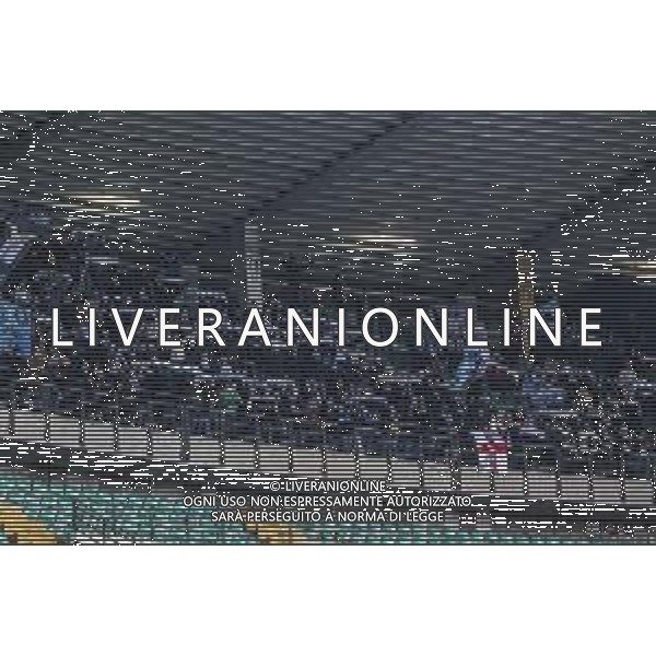 tifosi - Lazio fans show their support during Hellas Verona FC vs SS Lazio, 21° Serie A Enilive 2024-25 game at Marcantonio Bentegodi stadium in Verona (VR), Italy, on January 19, 2025. (Photo by Davide Casentini)- AGENZIA ALDO LIVERANI SAS