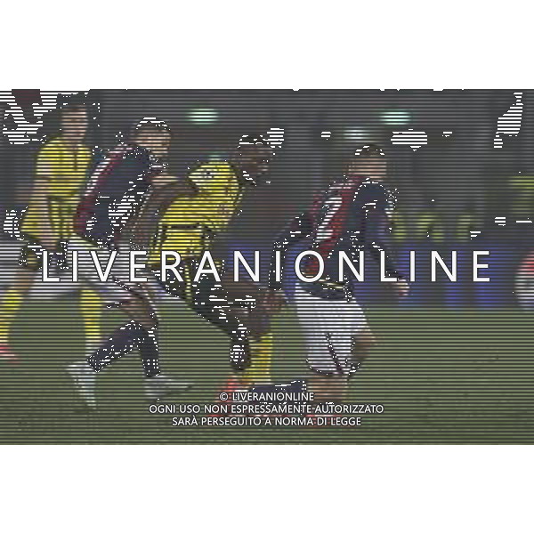 Serhou Guirassy of Borussia Dortmund battle for the ball with Remo Freuler of Bologna FC and Emil Holm of Bologna FC during Bologna BFC vs Borussia Dortmund, 7° round of Champions League 2024-25, game at Renato Dall\'Ara stadiumo in Bologna (BG), Italy, on January 21, 2025. (Photo by Davide Casentini)- AGENZIA ALDO LIVERANI SAS
