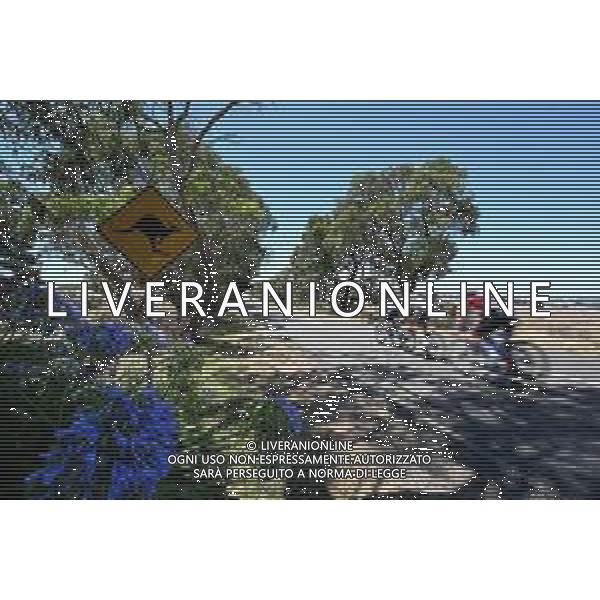 24-01-2025 Tour Down Under; Tappa 04 Glenelg - Victor Harbor; foto stefano sirotti-ag aldo liverani sas