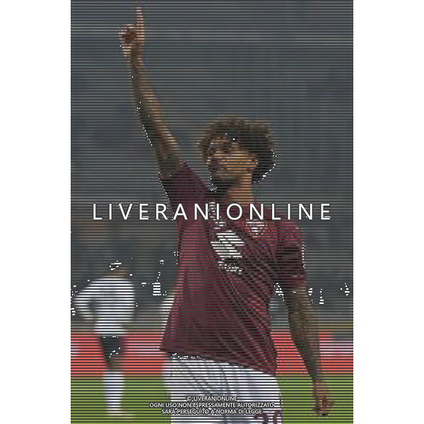 TVMV-Torino 24.01.2025 Stadio Grande Torino @Manuela Viganti/Ag. Aldo Liverani sas Torino vs Cagliari Campionato Calcio Serie A Enilive 2024/2025 22a giornata Nella foto: esultanza valentino lazaro dopo il gol successivamente annullato dal var