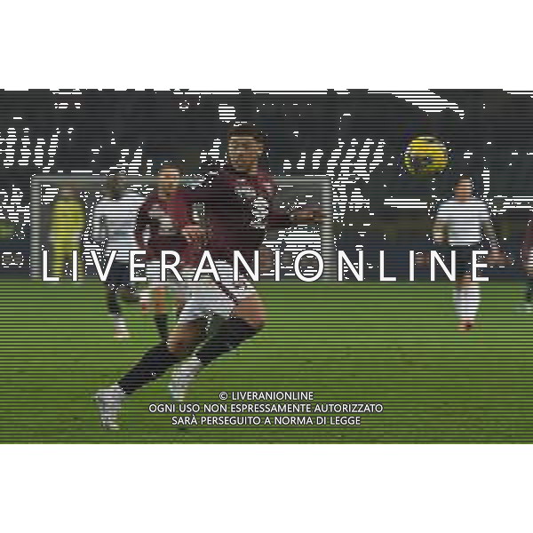 TVMV-Torino 24.01.2025 Stadio Grande Torino @Manuela Viganti/Ag. Aldo Liverani sas Torino vs Cagliari Campionato Calcio Serie A Enilive 2024/2025 22a giornata Nella foto: che adams